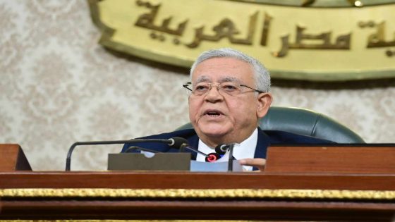 "جبالي" يحيل قرار إزالة الازدواج الضريبي للجنة الشئون الدستورية 